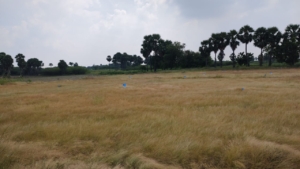 Plot